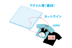 白版